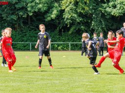 Hillen Cup 2024